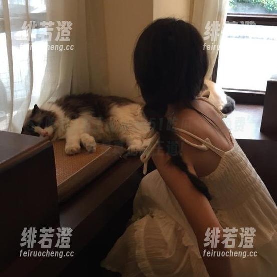 有了www.51吃瓜，‘免费’才是真正的王道！