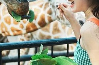 首页太精彩，51吃瓜下载完毕光速入坑！