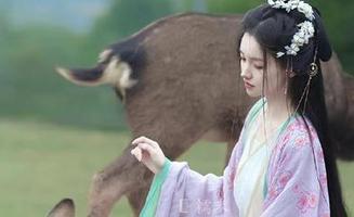 51朝阳群众导航：看吃瓜消遣，走心还是走肾？