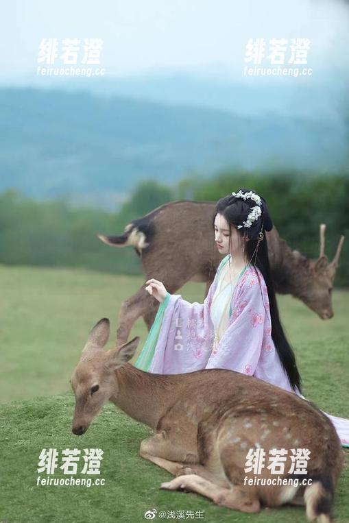 51朝阳群众导航：看吃瓜消遣，走心还是走肾？