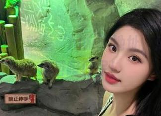 对！就是“hlw”地址，瓜多到让你目瞪口呆！