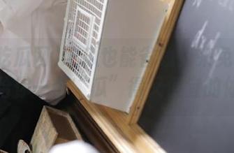 吃瓜也能省钱？来免费吃瓜网，给你一个“瓜”得又便宜的体验！
