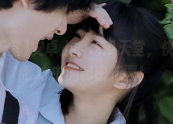 安卓上的吃瓜天堂，快来看看我心中的秘密花园！
