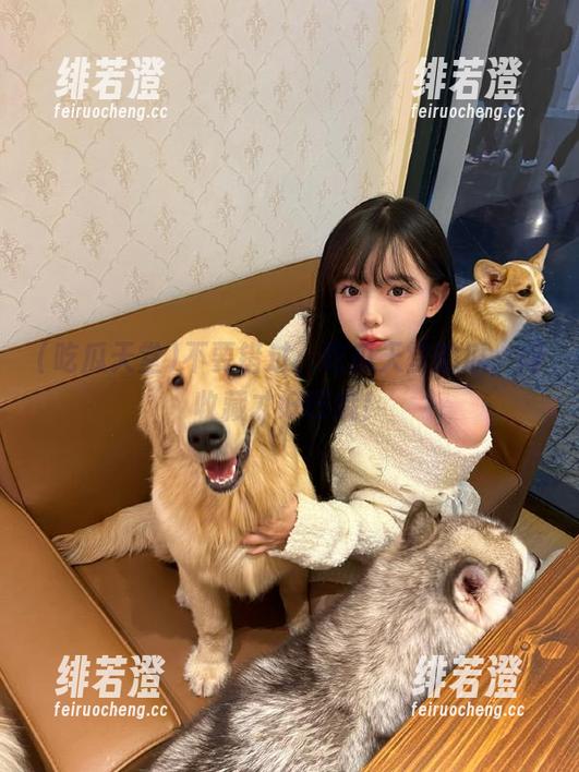 不要错过，吃瓜天堂的瓜，得收藏才好曰哦！