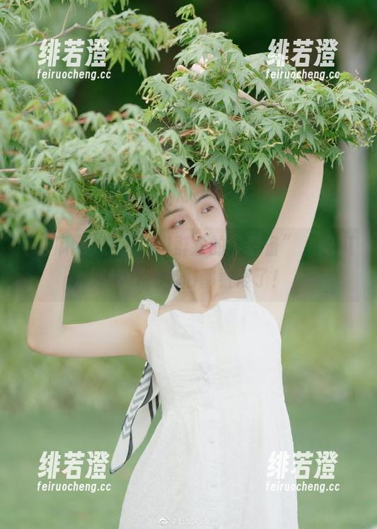 吃瓜网 观看朝阳群众的“装备”,吃瓜网的小伙伴们都看傻了!