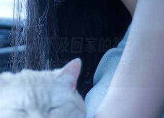 等不及回家的路？快来用吾爱吃瓜51传送门，贼有意思！